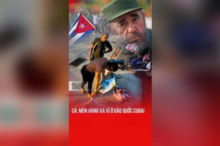 물고기: 쿠바 ‘섬나라’에서 사치품이 된 식탁의 주인공!