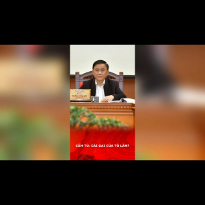 CẨM TÚ: CÁI GAI CỦA TÔ LÂM?