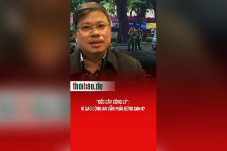 “Gốc cây công lý”: Vì sao công an vẫn phải đứng canh?