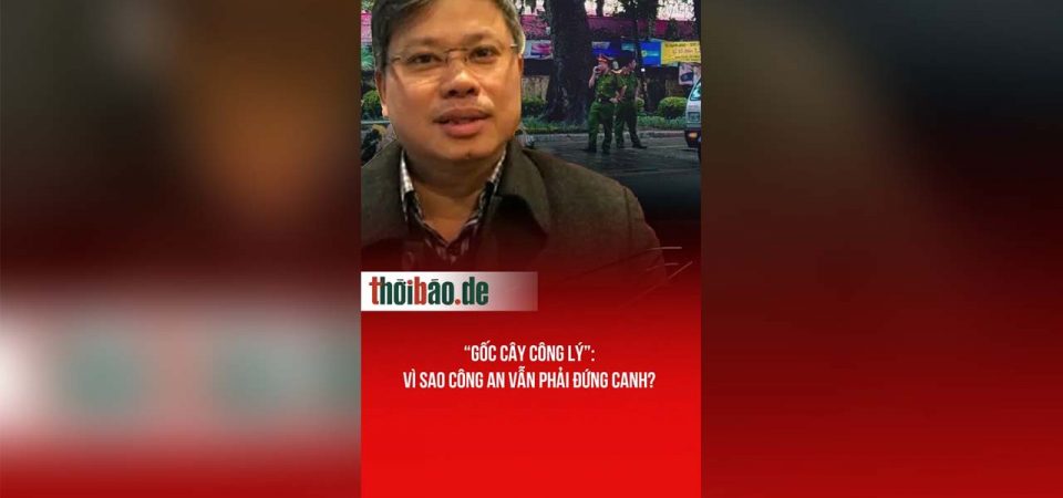 “Gốc cây công lý”: Vì sao công an vẫn phải đứng canh?