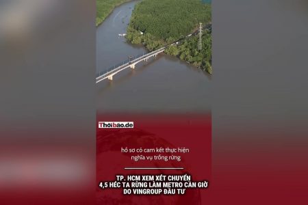 TP HCM xem xét chuyển 4,5 héc ta rừng làm Metro Cần Giờ do Vingroup đầu tư