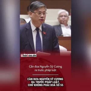 Cần đưa Nguyễn Sỹ Cương ra trước pháp luật, chứ không phải xóa số 55