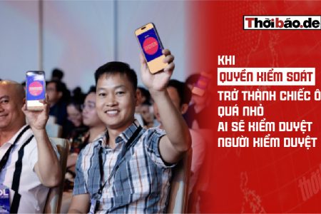Когда «право контроля» становится слишком узким: кто будет контролировать контролеров?
